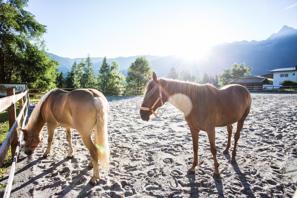 Ferienwohnungen Oetztal Sautens Ngoại thất bức ảnh