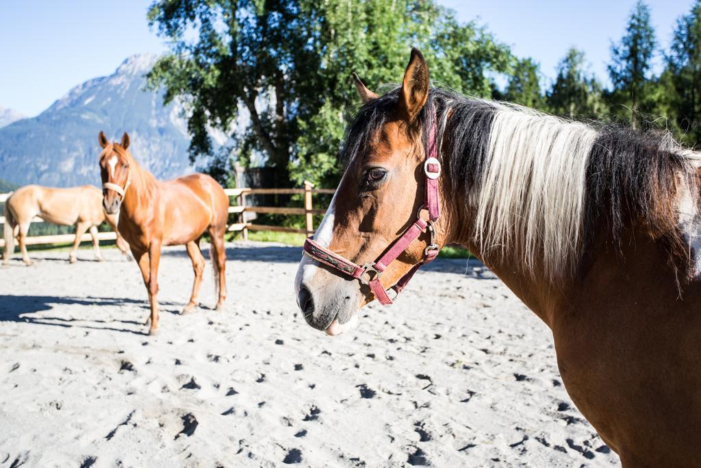 Ferienwohnungen Oetztal Sautens Ngoại thất bức ảnh